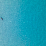 seaclusion